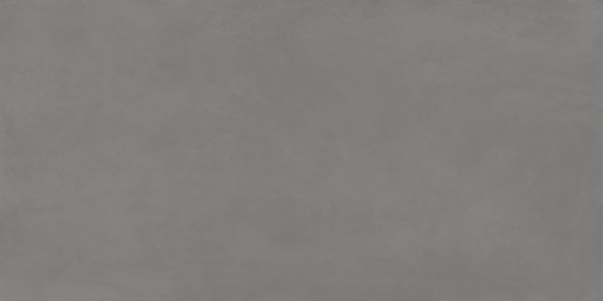 Ascale · Cosmopolita Gray