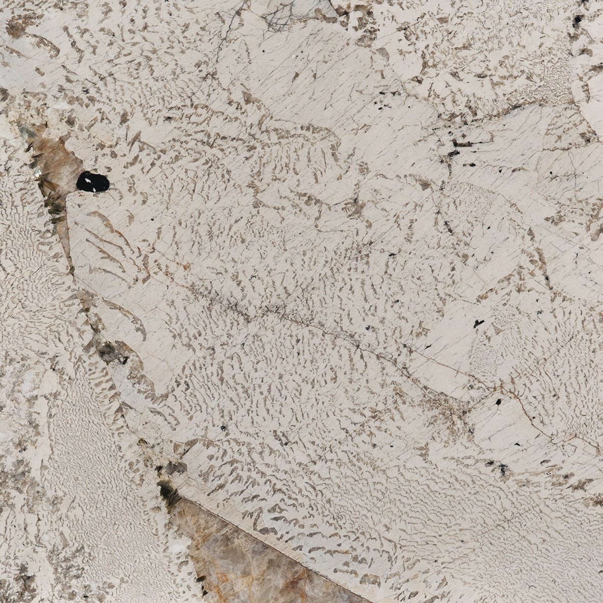 Altissima · Alpinus