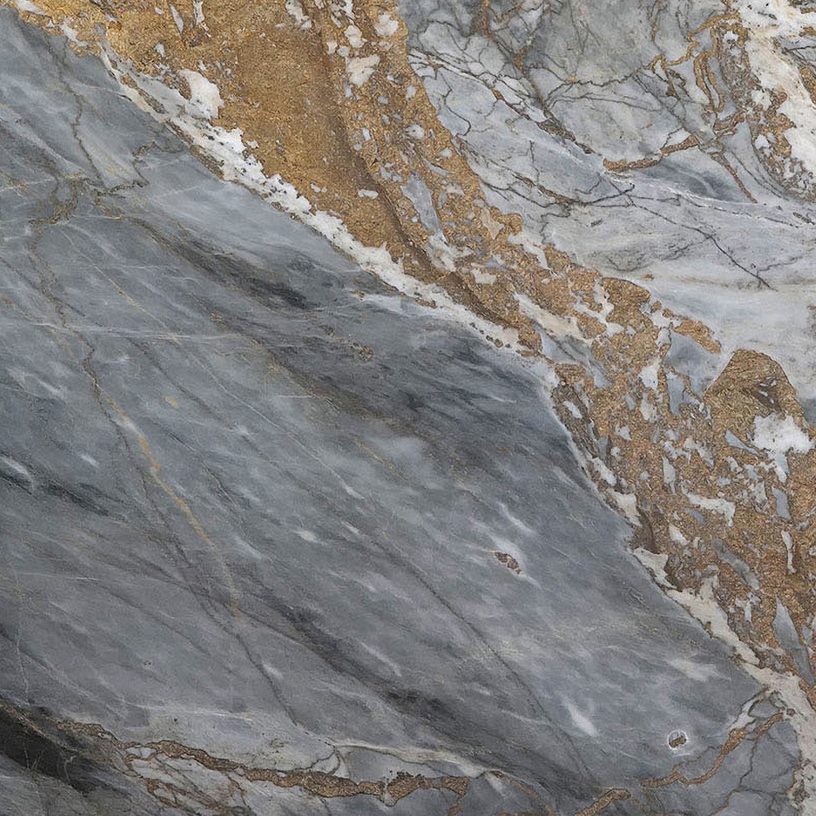 Altissima · Golden Grey