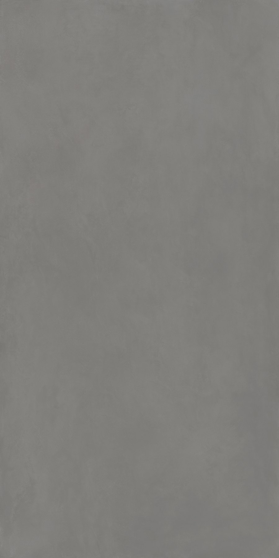 Ascale Cosmopolita Gray — ลายเต็มแผ่น 3