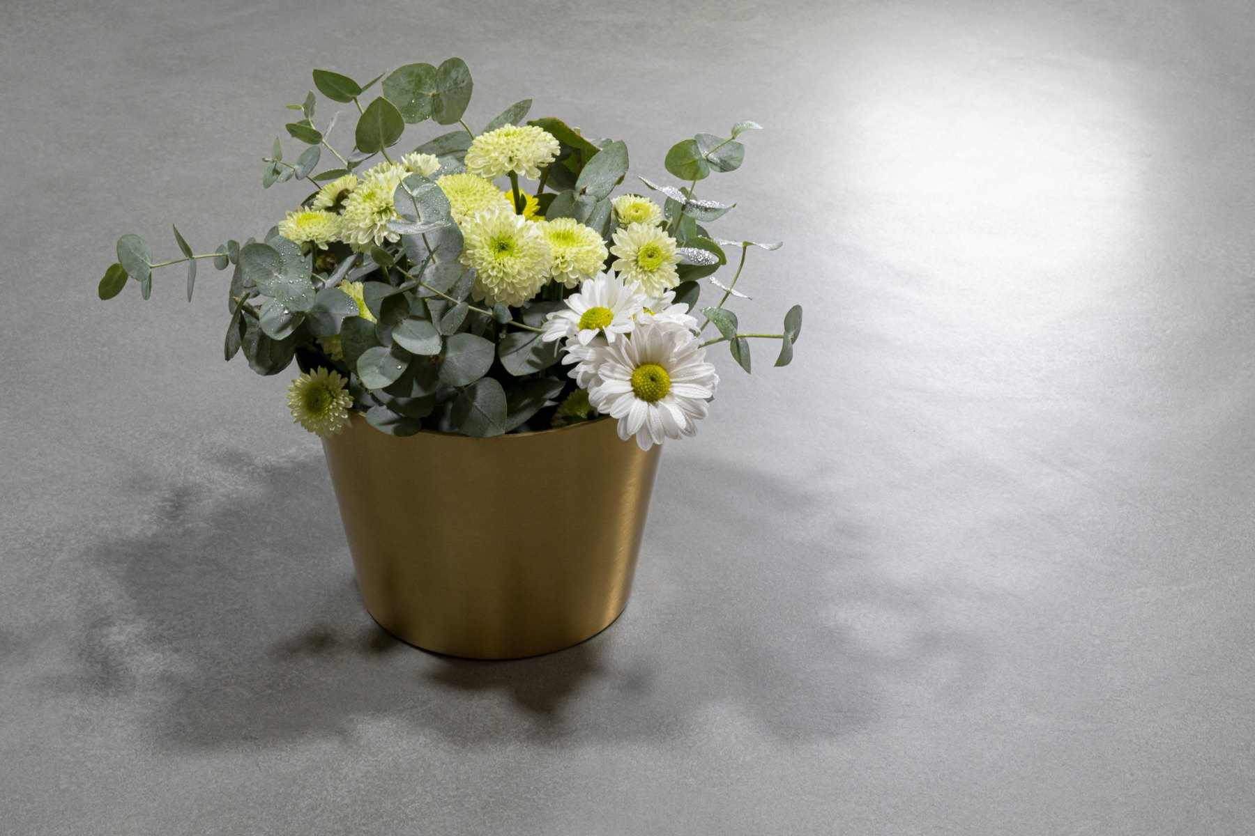 Ascale Cosmopolita Silver — ภาพจากผู้ผลิต 3