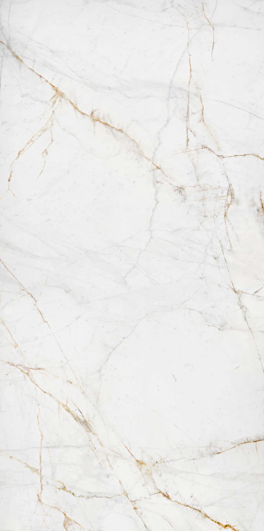 Ascale Lucca Gold — Bookmatch ภาพที่ 2 จากผู้ผลิต