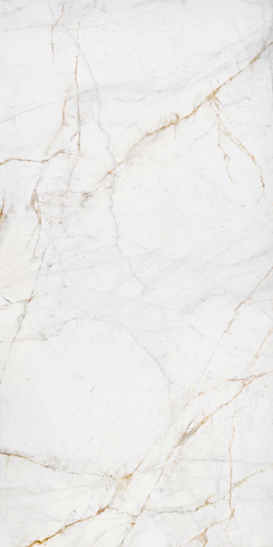 Ascale Lucca Gold — Bookmatch ภาพที่ 1 จากผู้ผลิต
