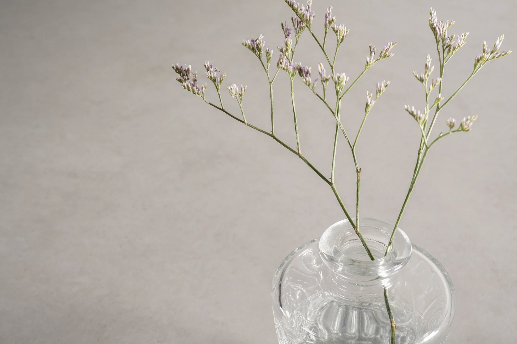 Ascale Urban White — ภาพจากผู้ผลิต 3