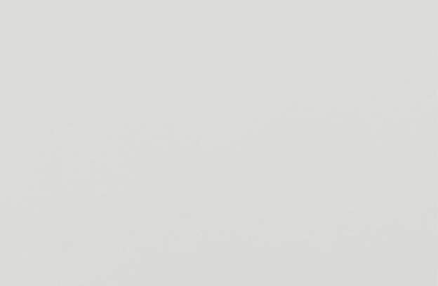 Solid Surface · Zebra White