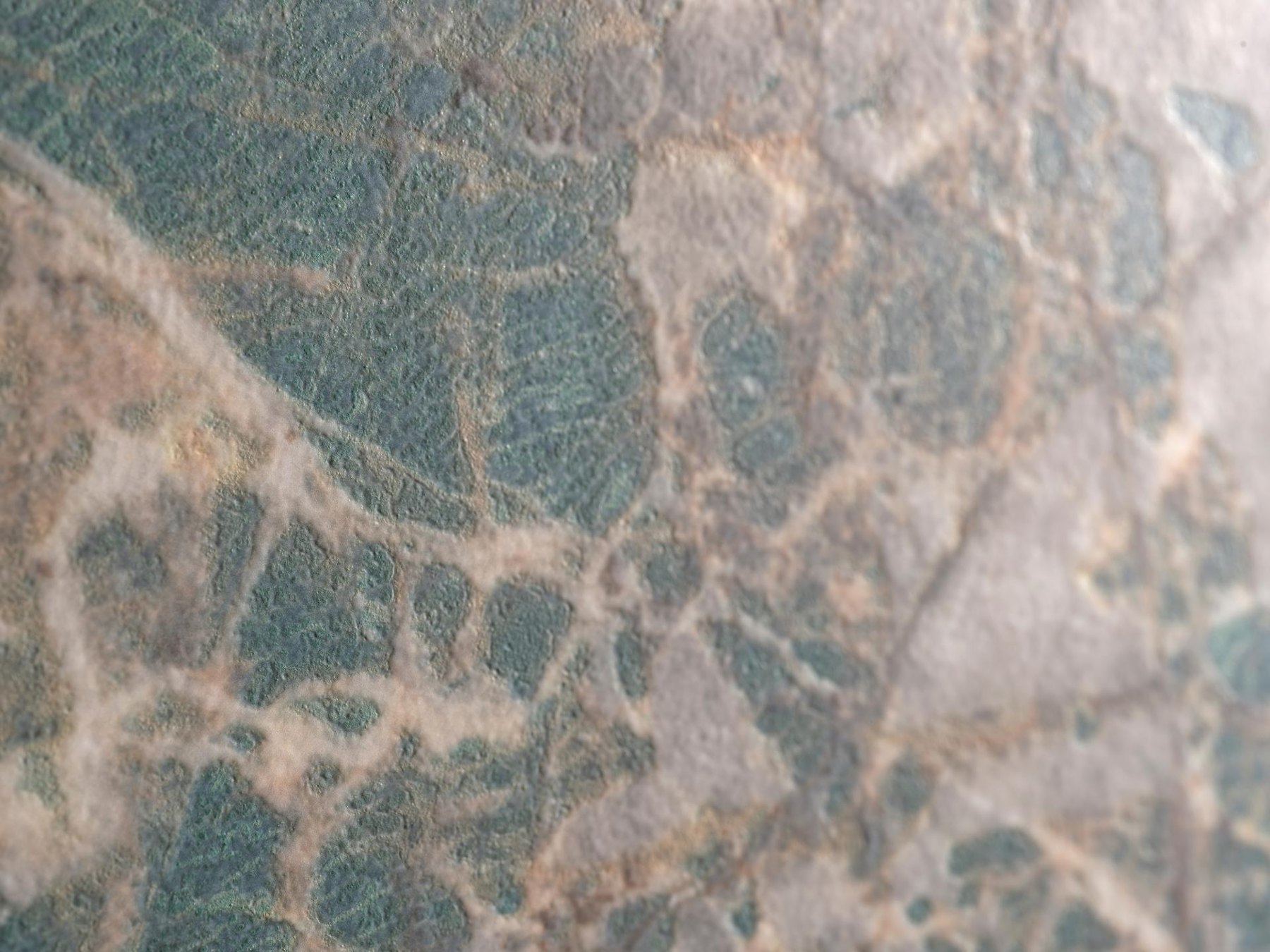 XTONE Amazonite — ภาพการใช้งาน 3