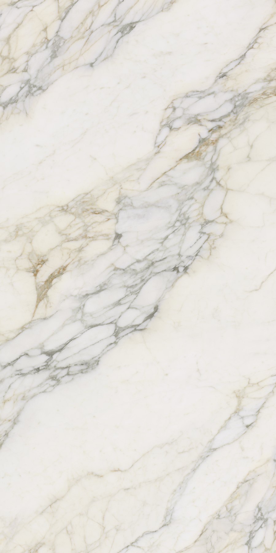 XTONE Calacatta Antico — CALACATTA ANTICO POLISHED 6 160X320 05