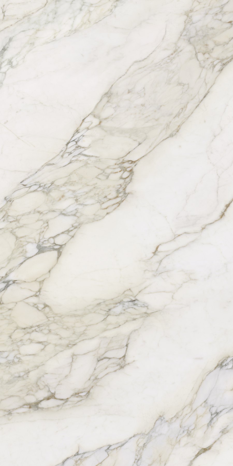 XTONE Calacatta Antico — CALACATTA ANTICO POLISHED 6 160X320 03