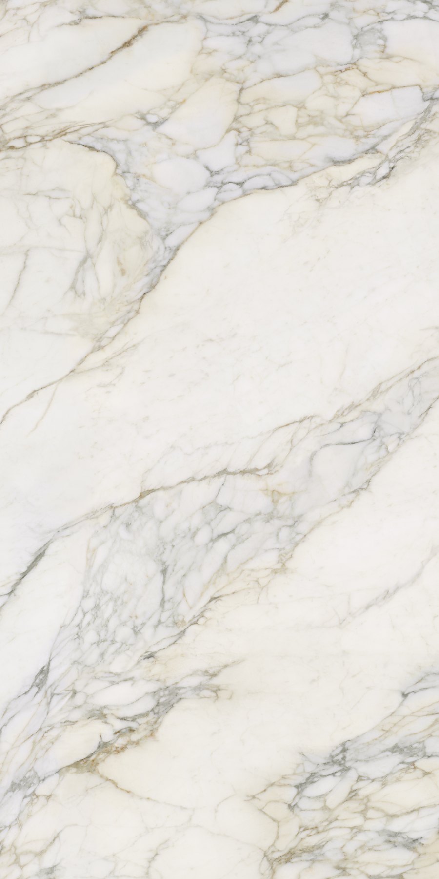 XTONE Calacatta Antico — CALACATTA ANTICO POLISHED 6 160X320 01