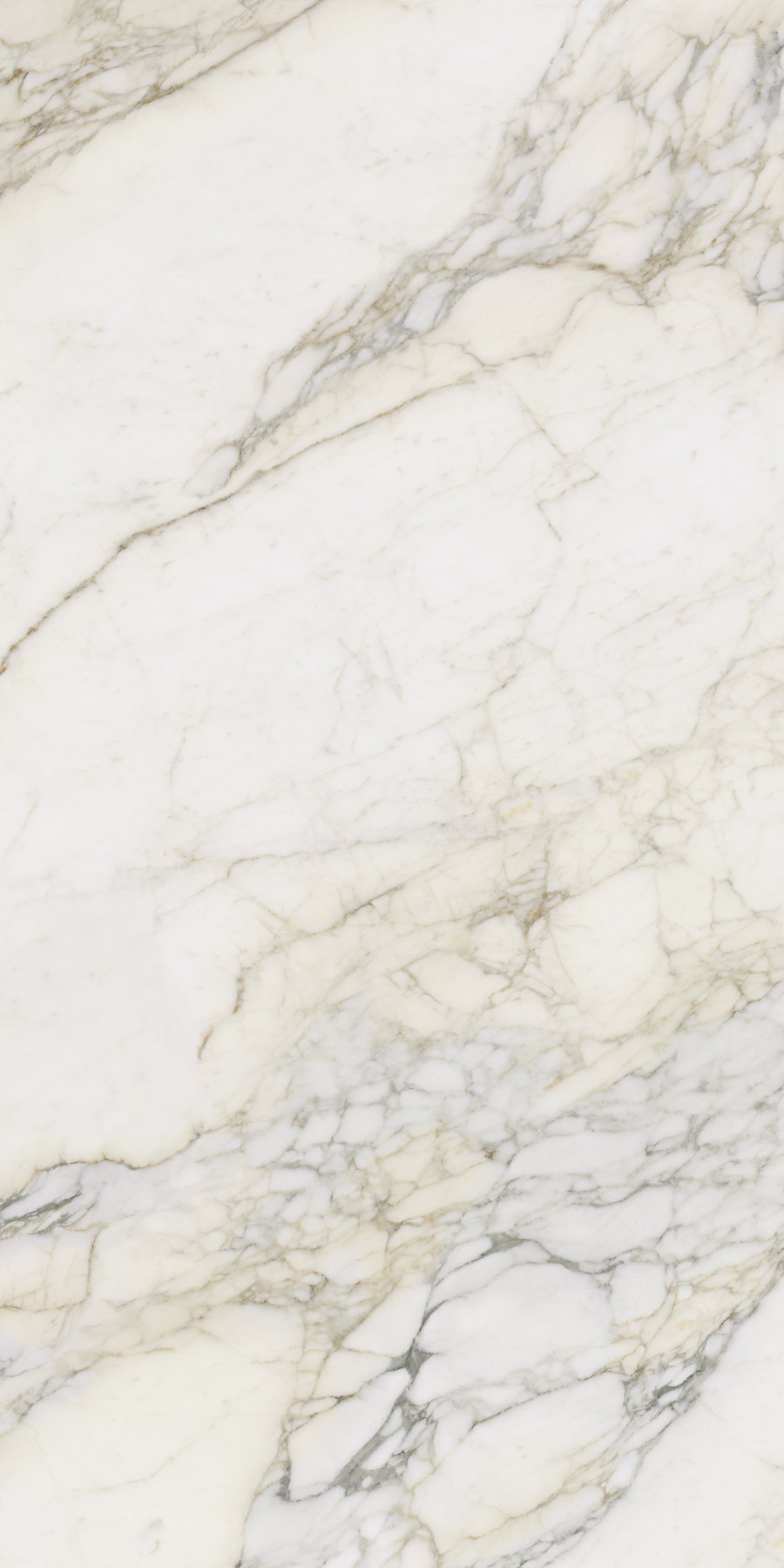 XTONE Calacatta Antico — CALACATTA ANTICO POLISHED 6 160X320 04