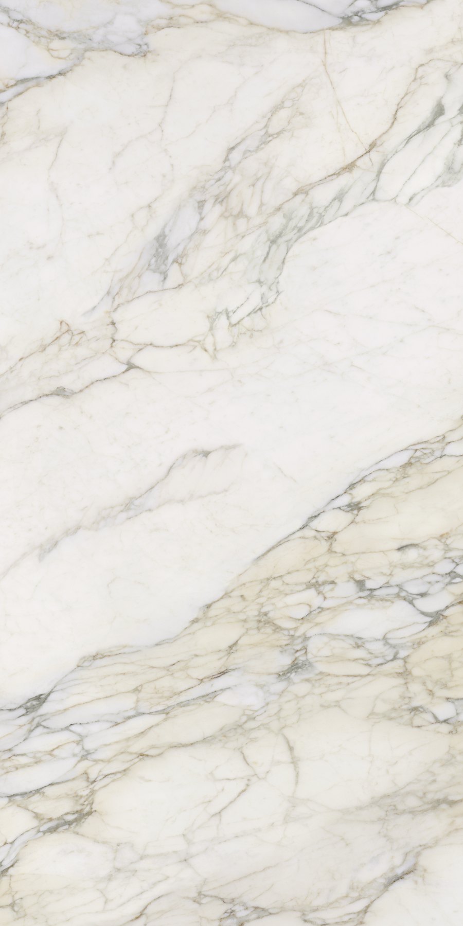 XTONE Calacatta Antico — CALACATTA ANTICO POLISHED 6 160X320 02