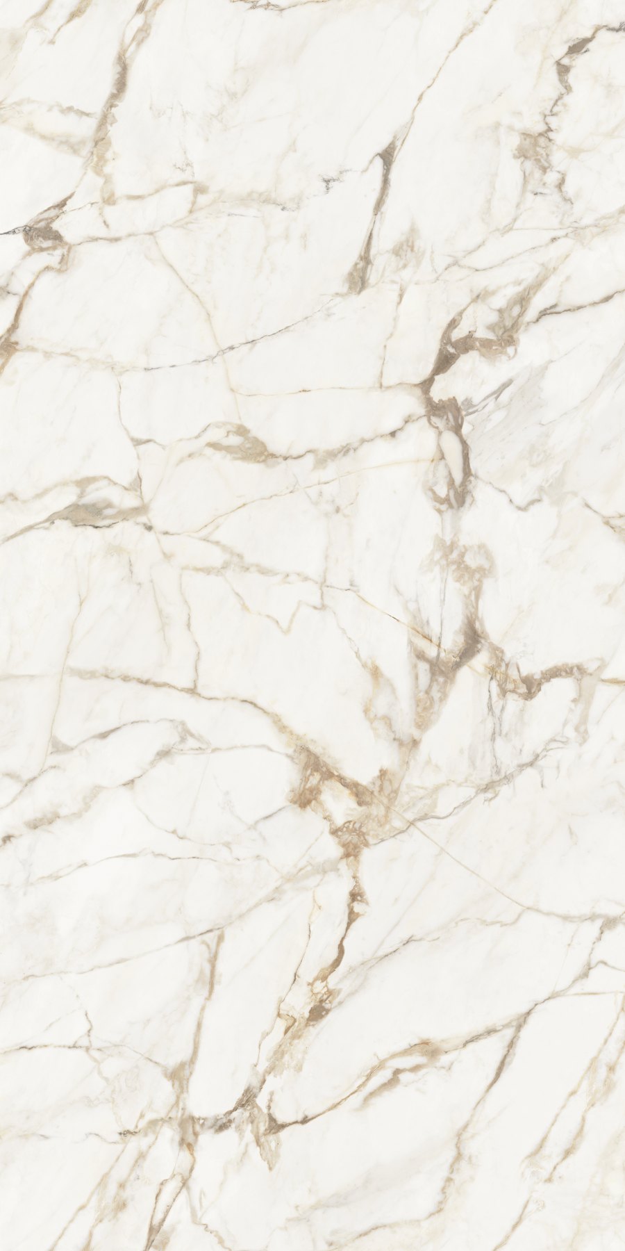 XTONE Calacatta Gold — CALACATTA GOLD NATURE 6 160X320 02