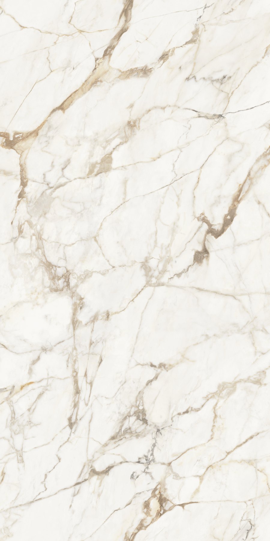 XTONE Calacatta Gold — CALACATTA GOLD POLISHED 6 160X320 01
