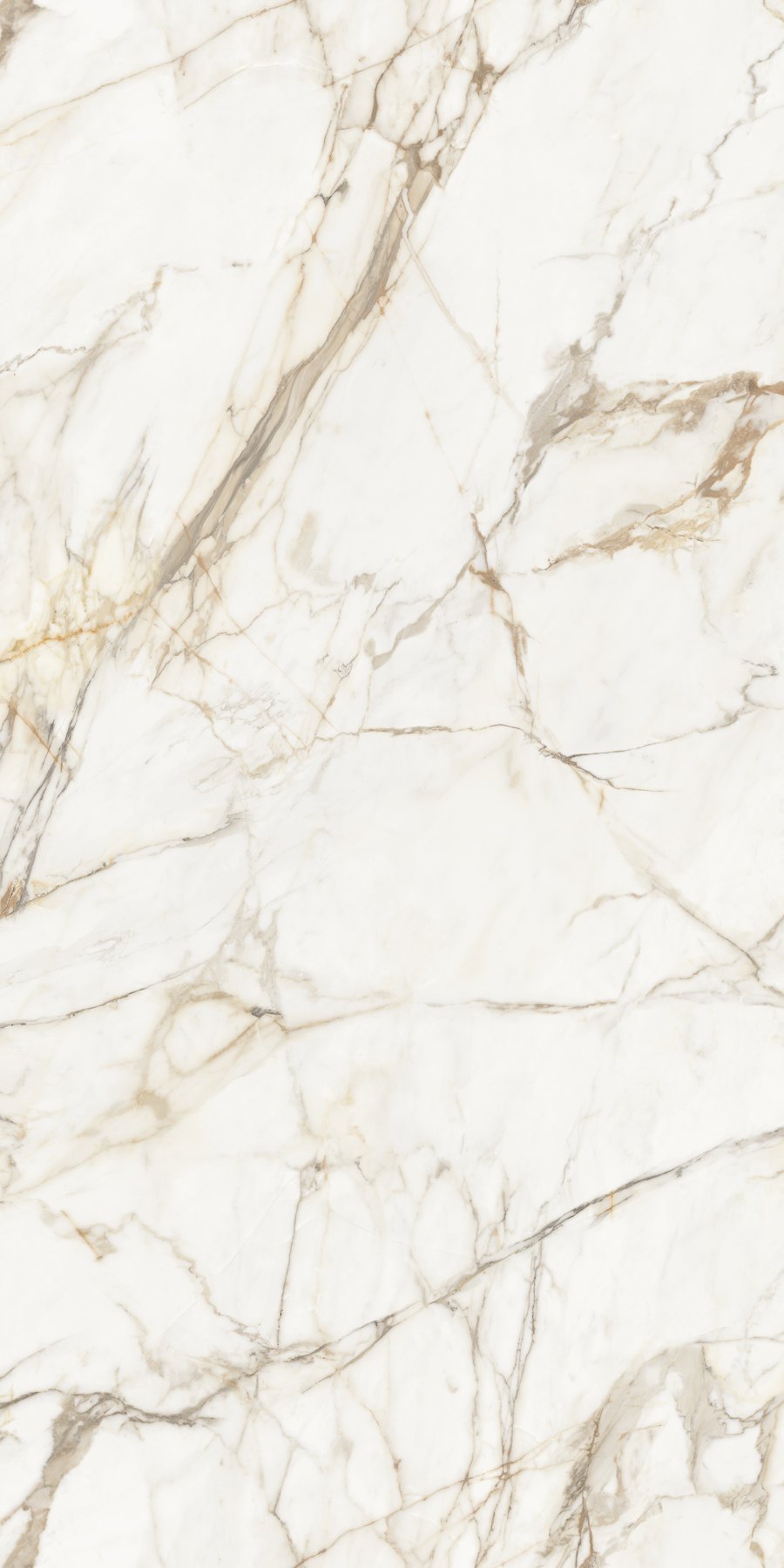 XTONE Calacatta Gold — CALACATTA GOLD NATURE 6 160X320 04