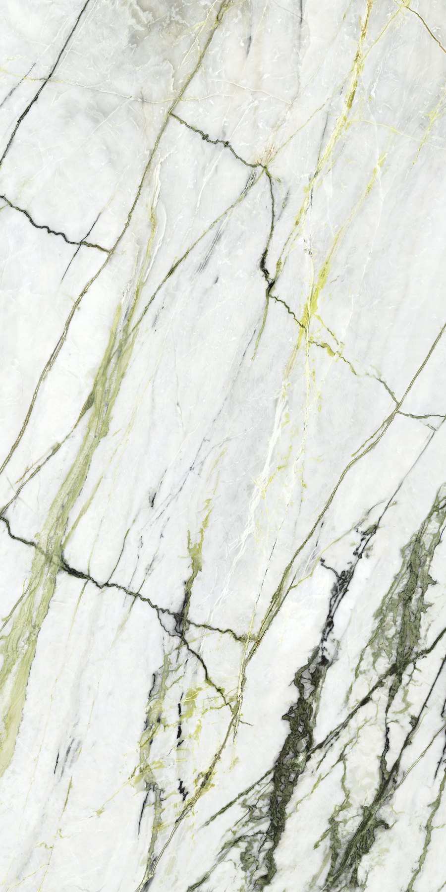 XTONE Calacatta Green — CALACATTA GREEN POLISHED 6 160X320 03