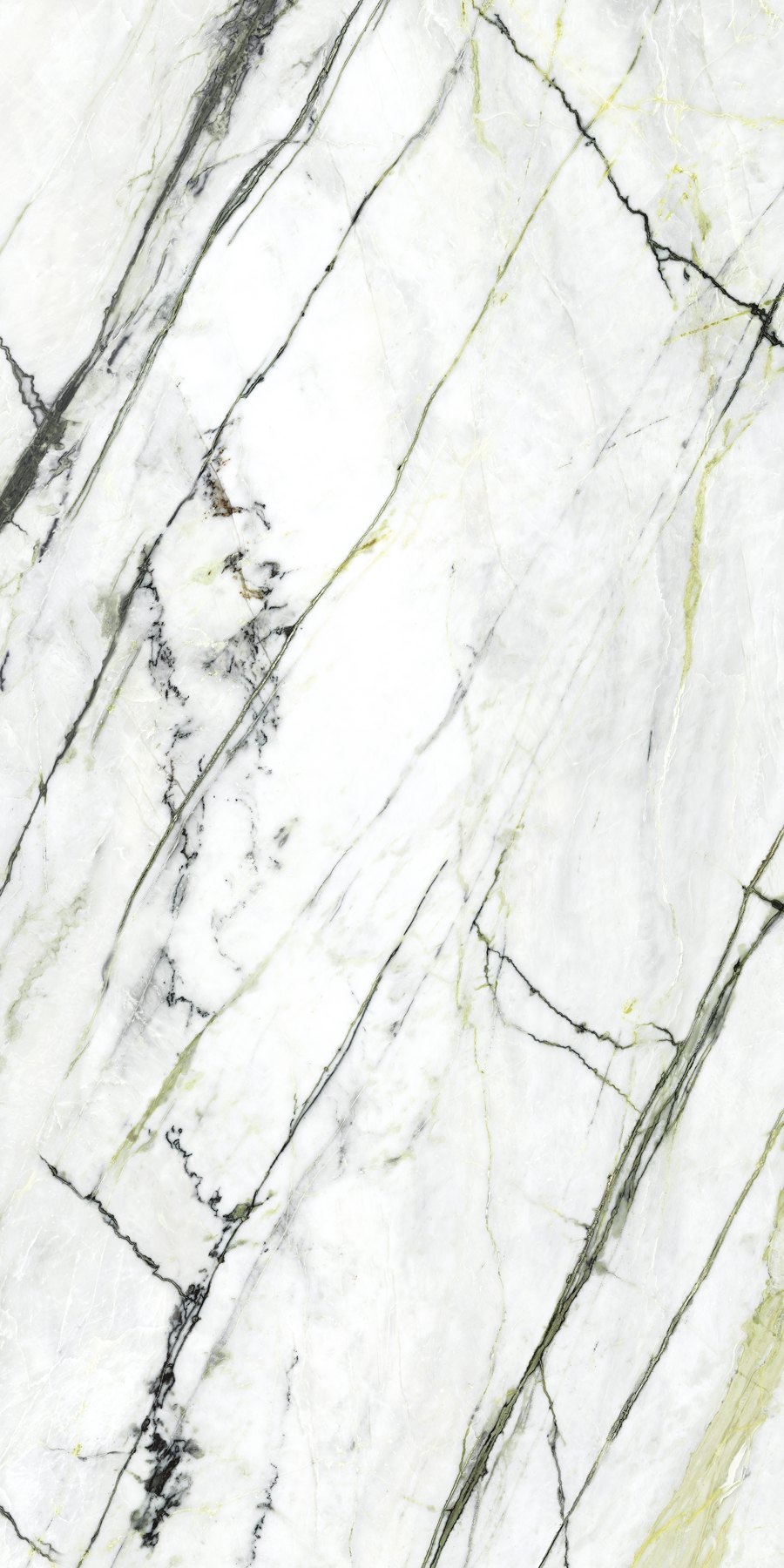 XTONE Calacatta Green — CALACATTA GREEN POLISHED 6 160X320 02