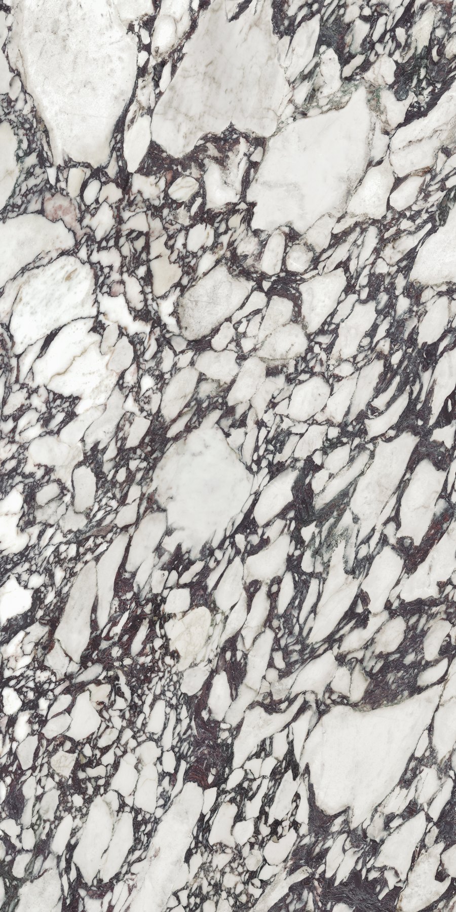XTONE Calacatta Viola — CALACATTA VIOLA POLISHED 6 160X320 01