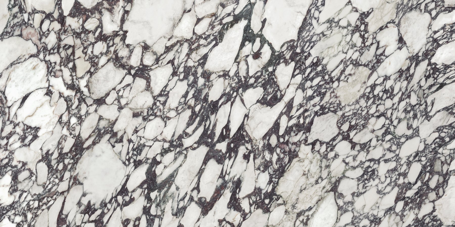 XTONE Calacatta Viola — CALACATTA VIOLA POLISHED 12 160X320 01