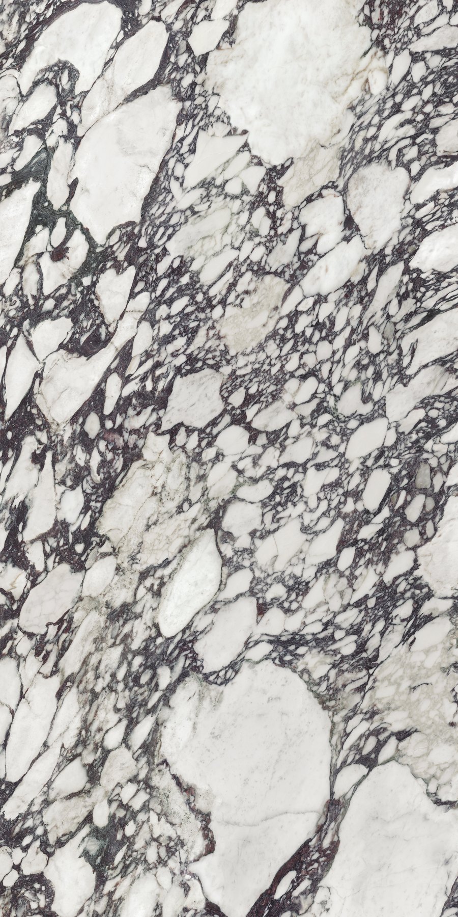 XTONE Calacatta Viola — CALACATTA VIOLA POLISHED 6 160X320 02