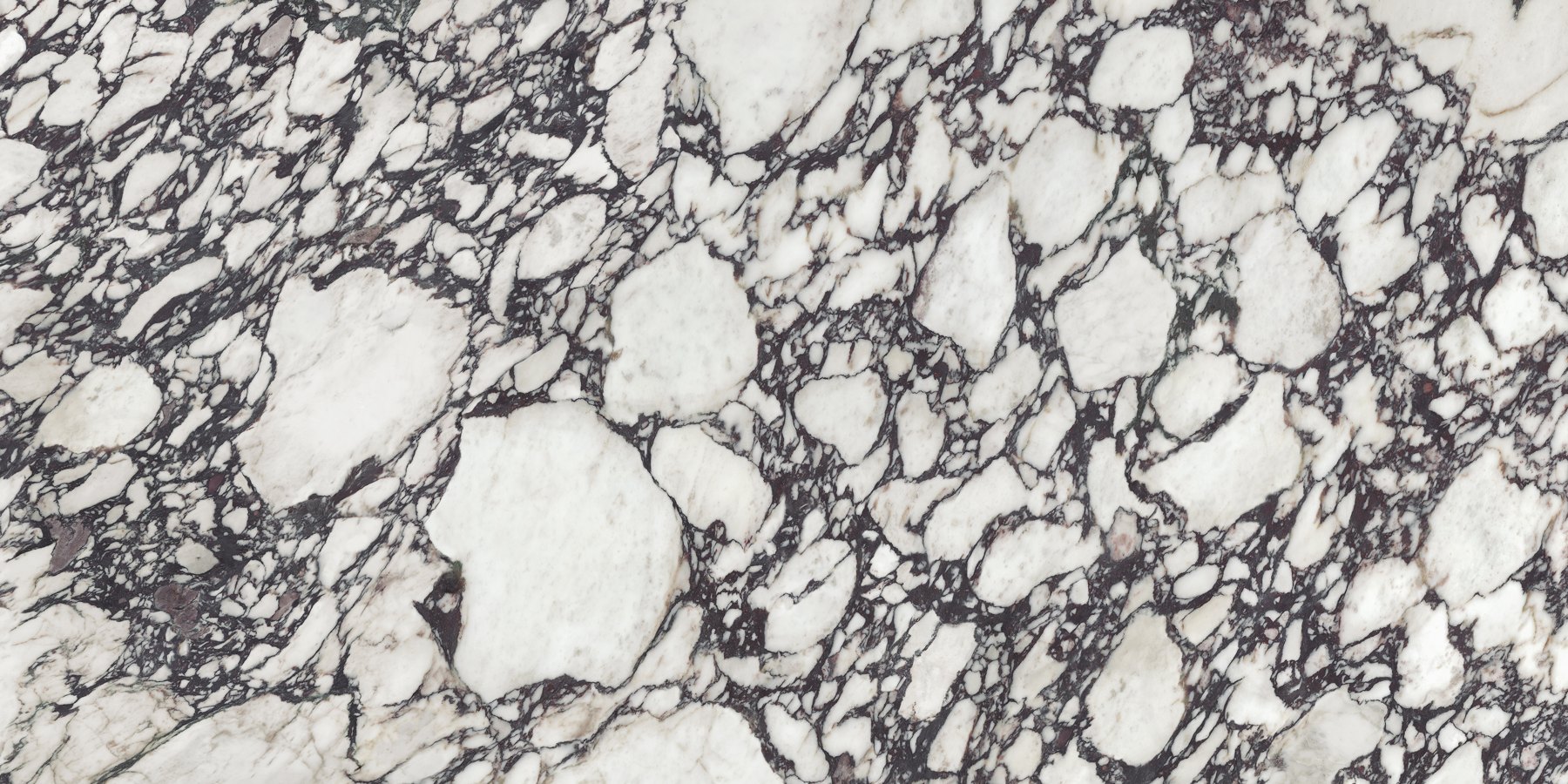XTONE Calacatta Viola — CALACATTA VIOLA POLISHED 12 160X320 02