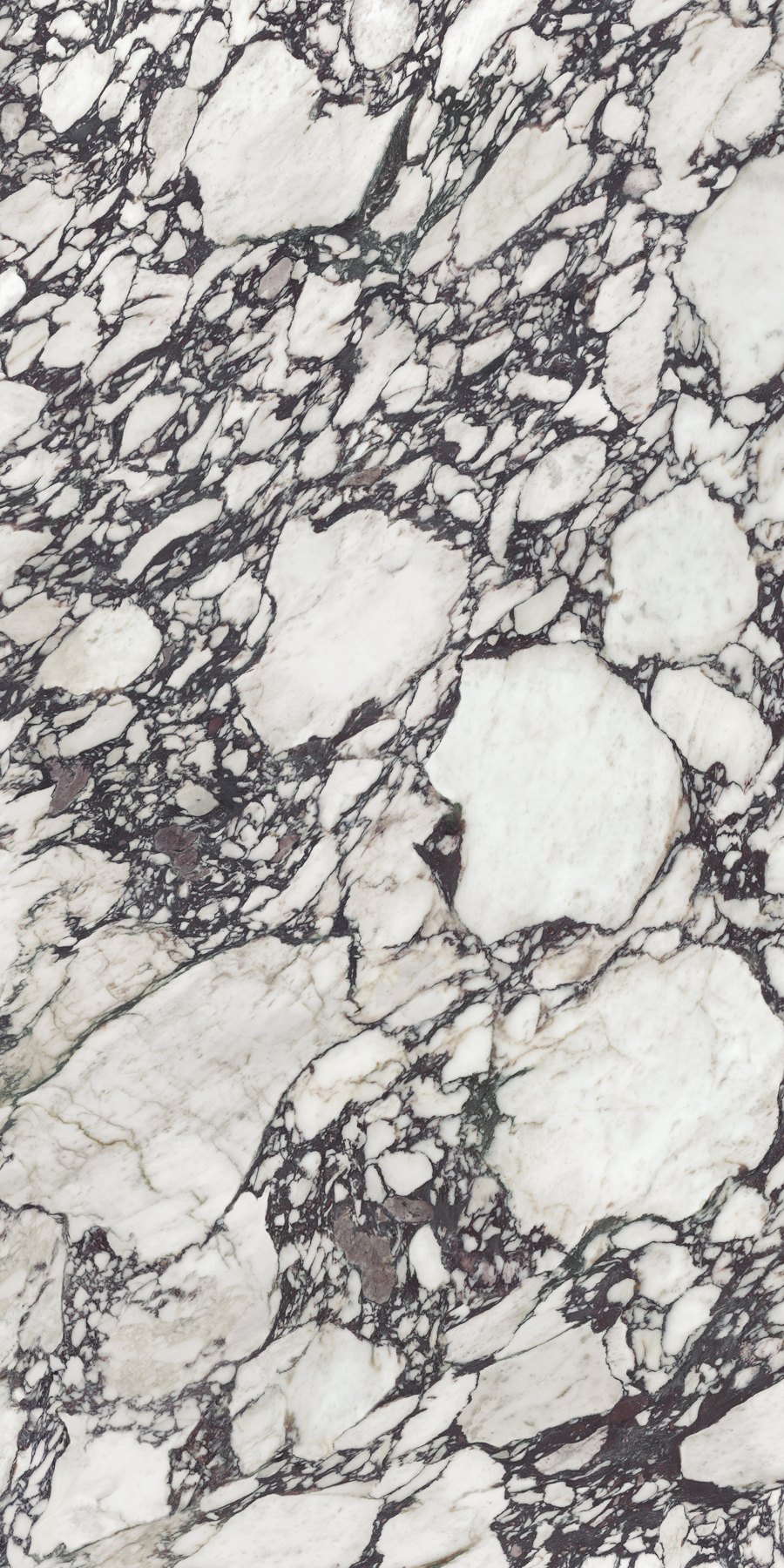 XTONE Calacatta Viola — CALACATTA VIOLA POLISHED 6 160X320 03