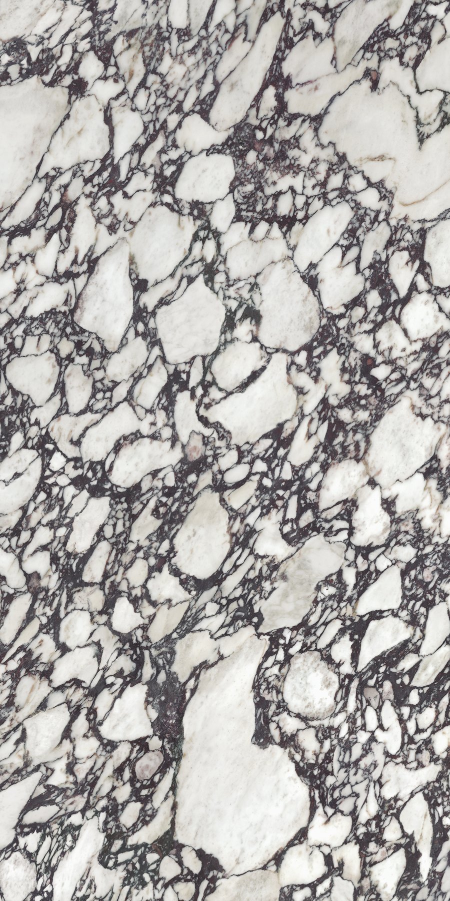 XTONE Calacatta Viola — CALACATTA VIOLA POLISHED 6 160X320 04