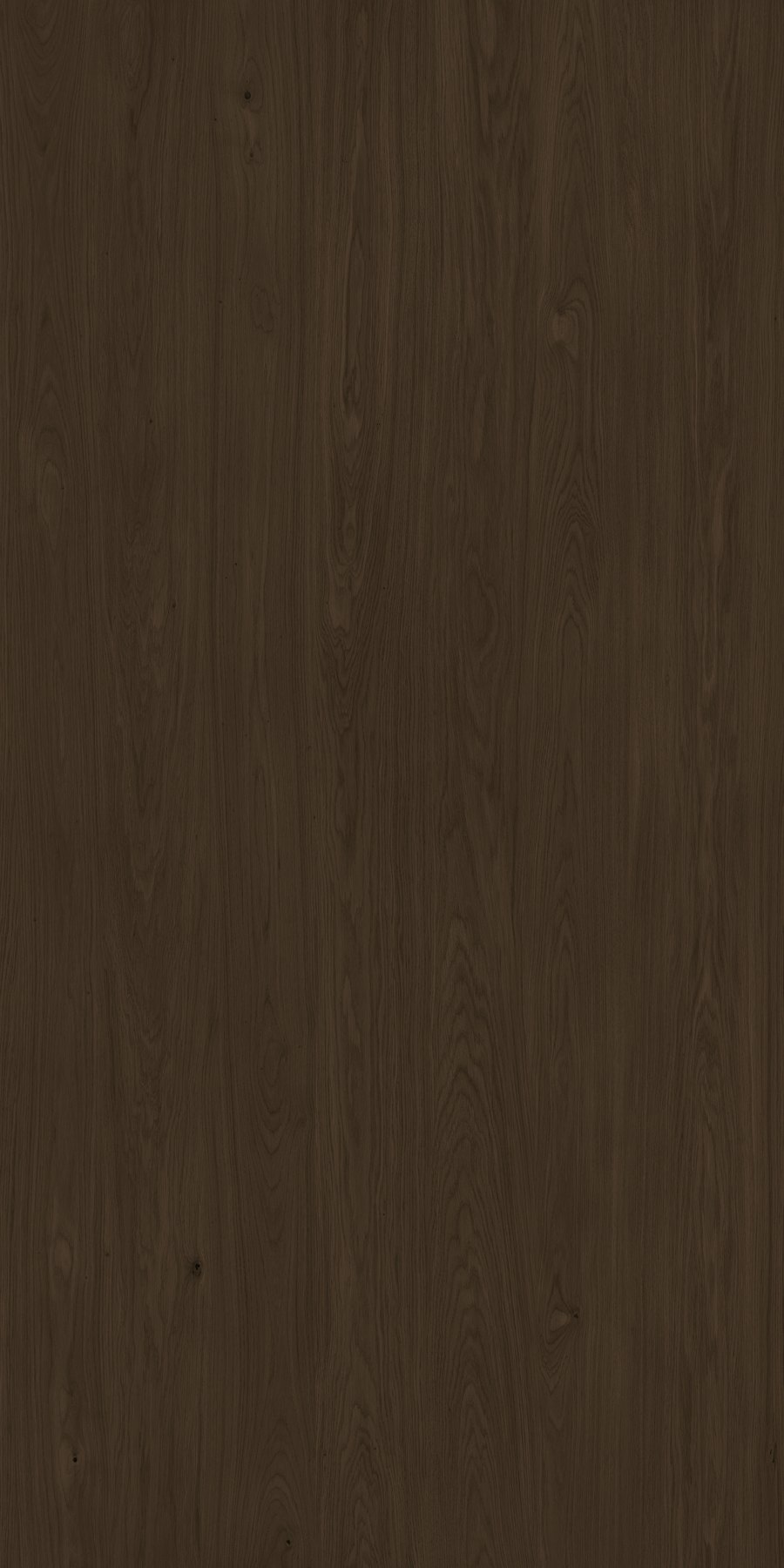XTONE Ele — ELE NATURE 6 160X320 03