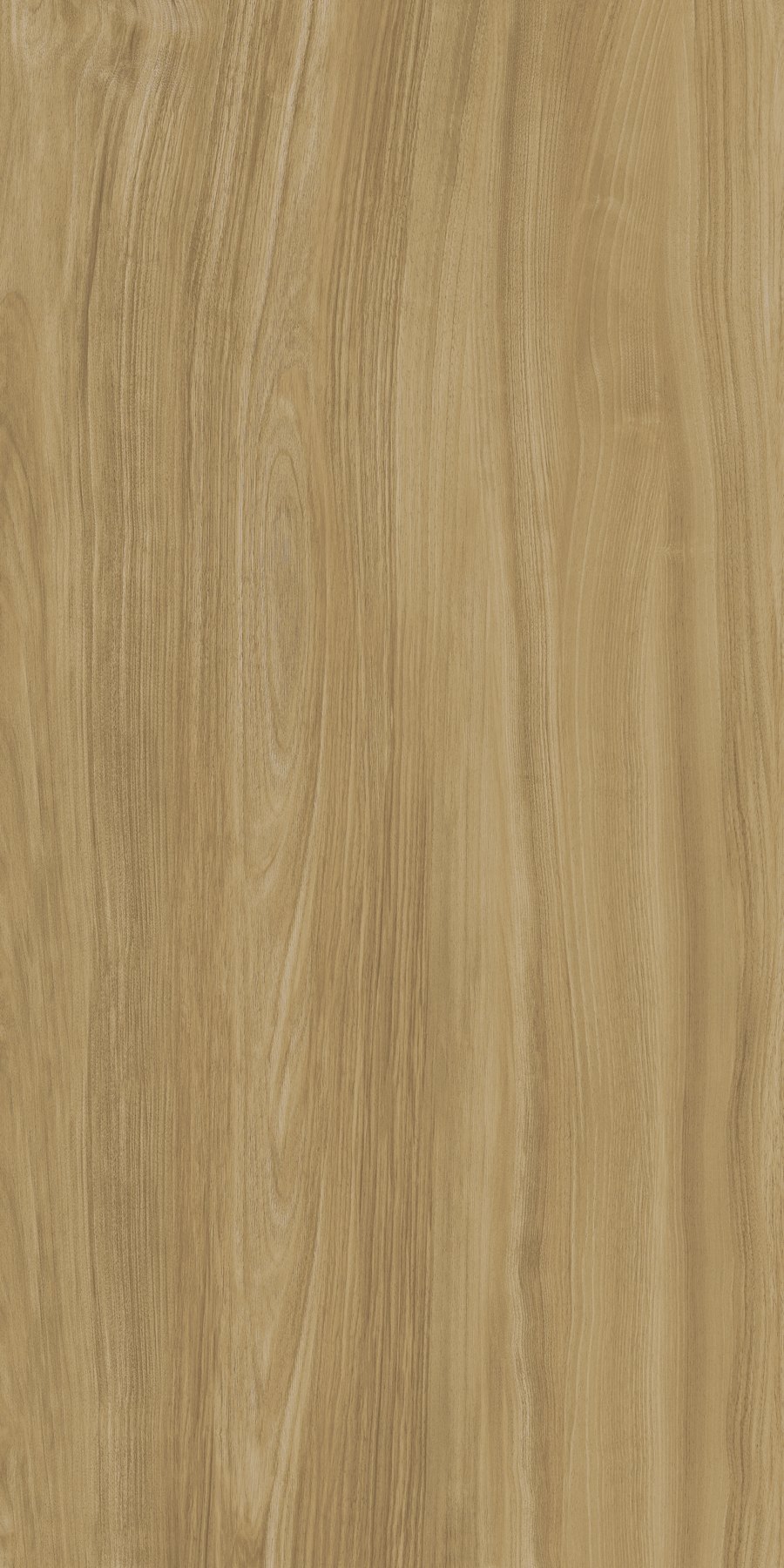 XTONE Ewood Camel — EWOOD CAMEL NATURE 6 160X320 02