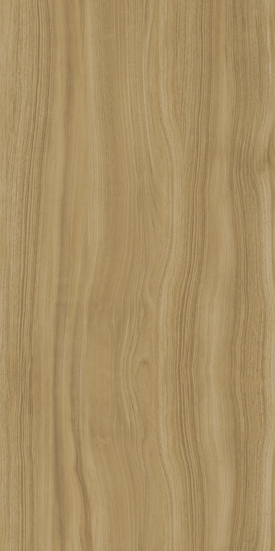 XTONE Ewood Camel — EWOOD CAMEL NATURE 6 160X320 03