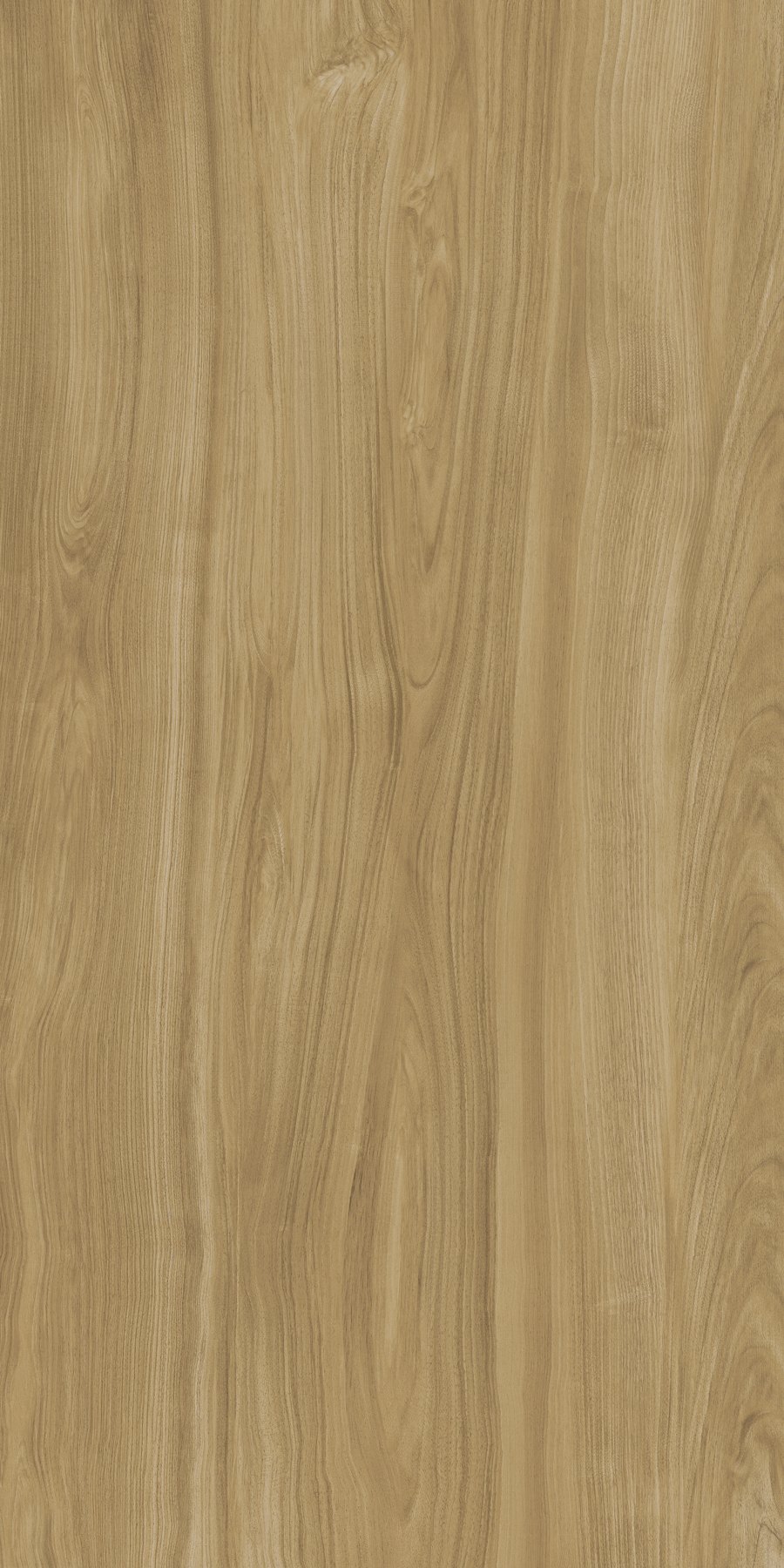 XTONE Ewood Camel — EWOOD CAMEL NATURE 6 160X320 01