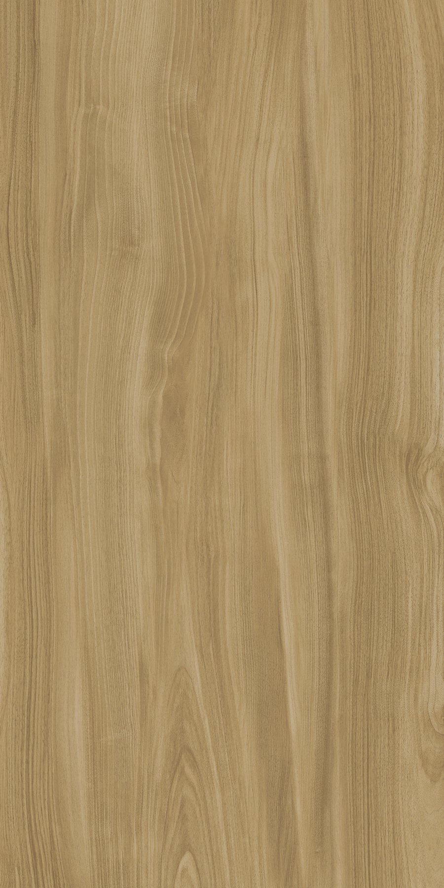 XTONE Ewood Camel — EWOOD CAMEL NATURE 6 160X320 04