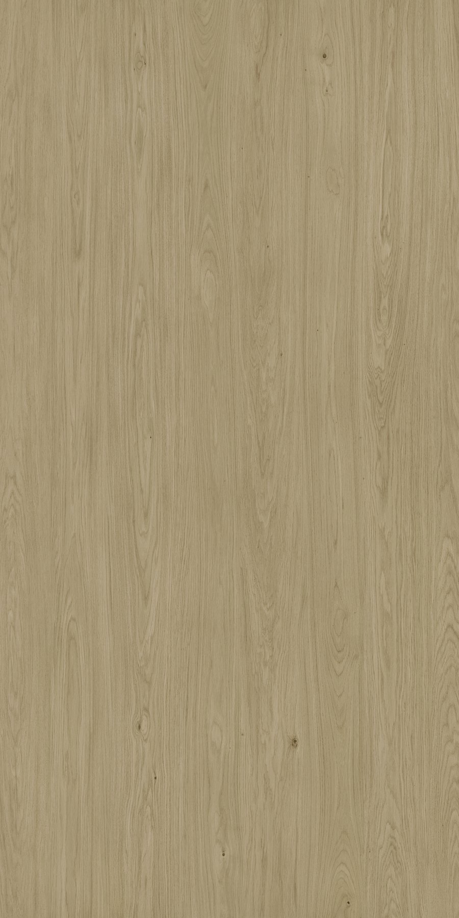 XTONE Neda — NEDA NATURE 6 160X320 03