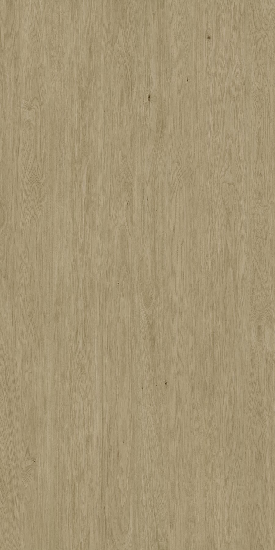 XTONE Neda — NEDA NATURE 6 160X320 04