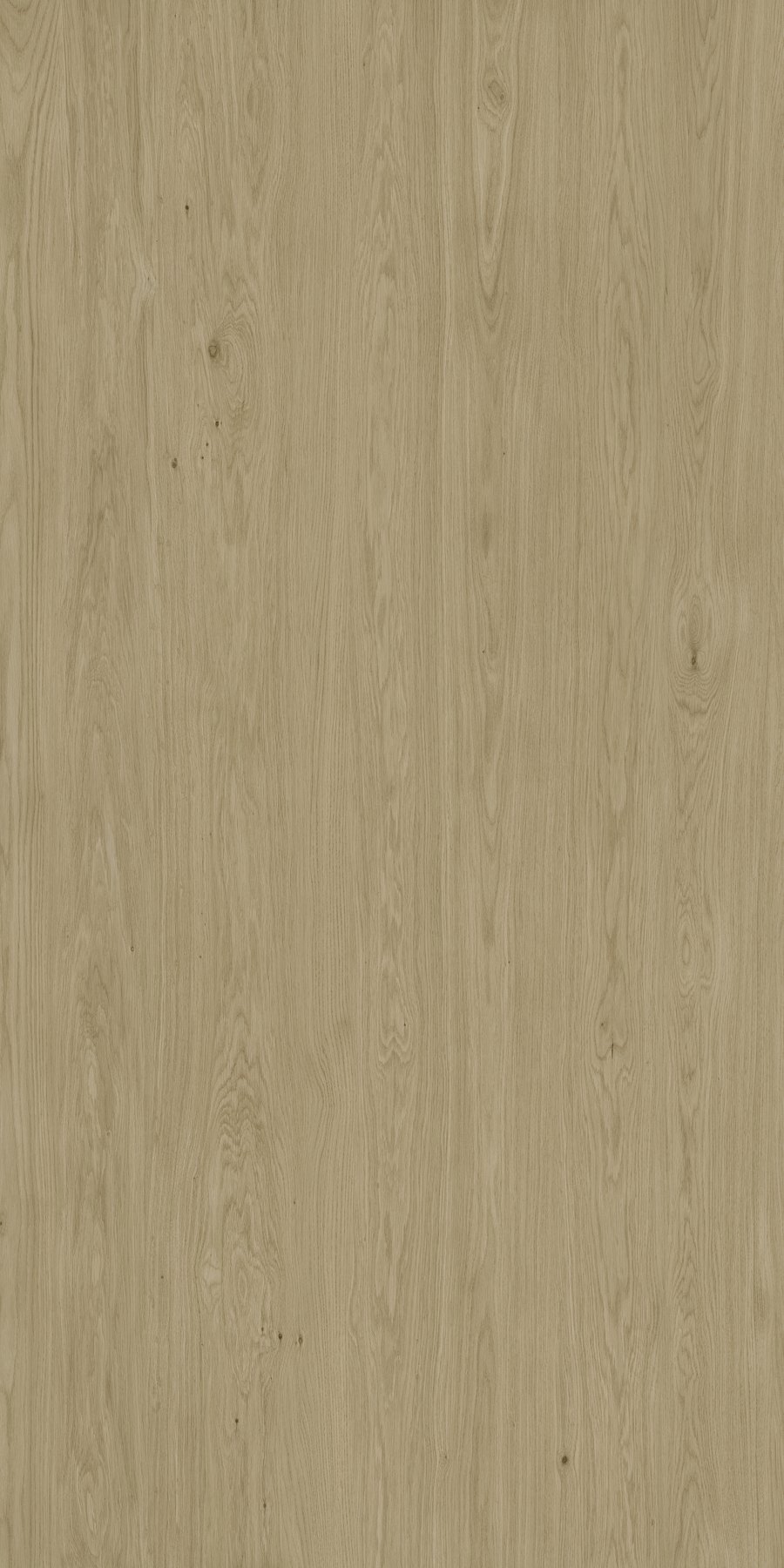 XTONE Neda — NEDA NATURE 6 160X320 02