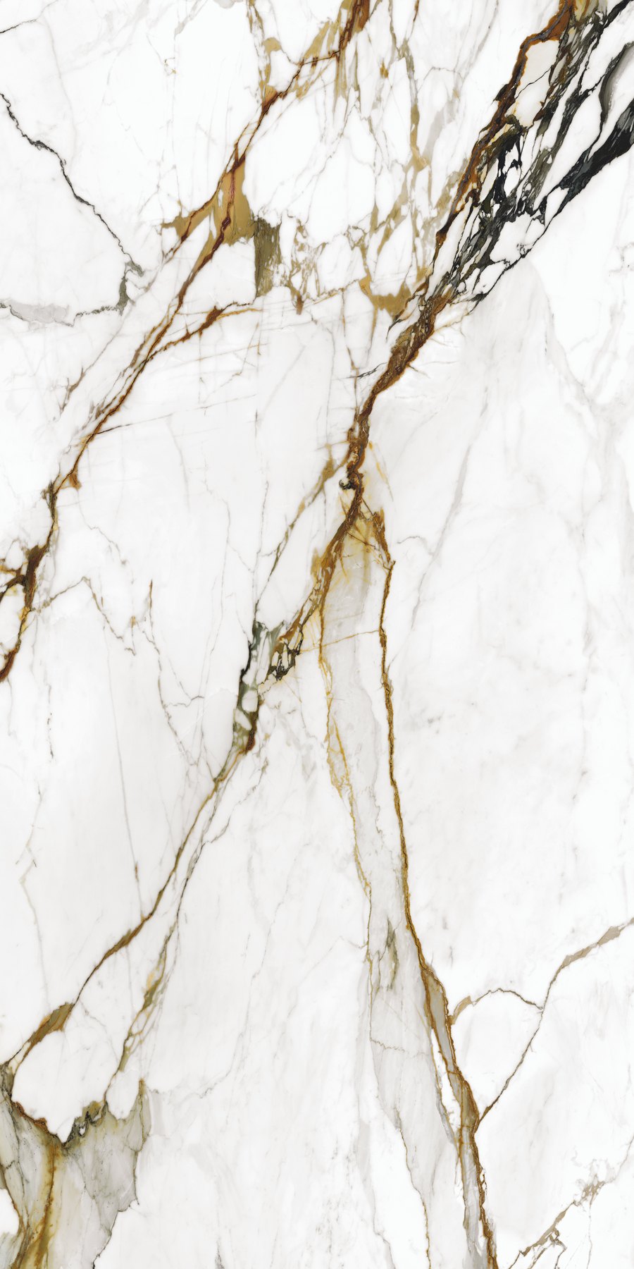 XTONE Paonazzo Biondo — PAONAZZO BIONDO POLISHED 6 160X320 04