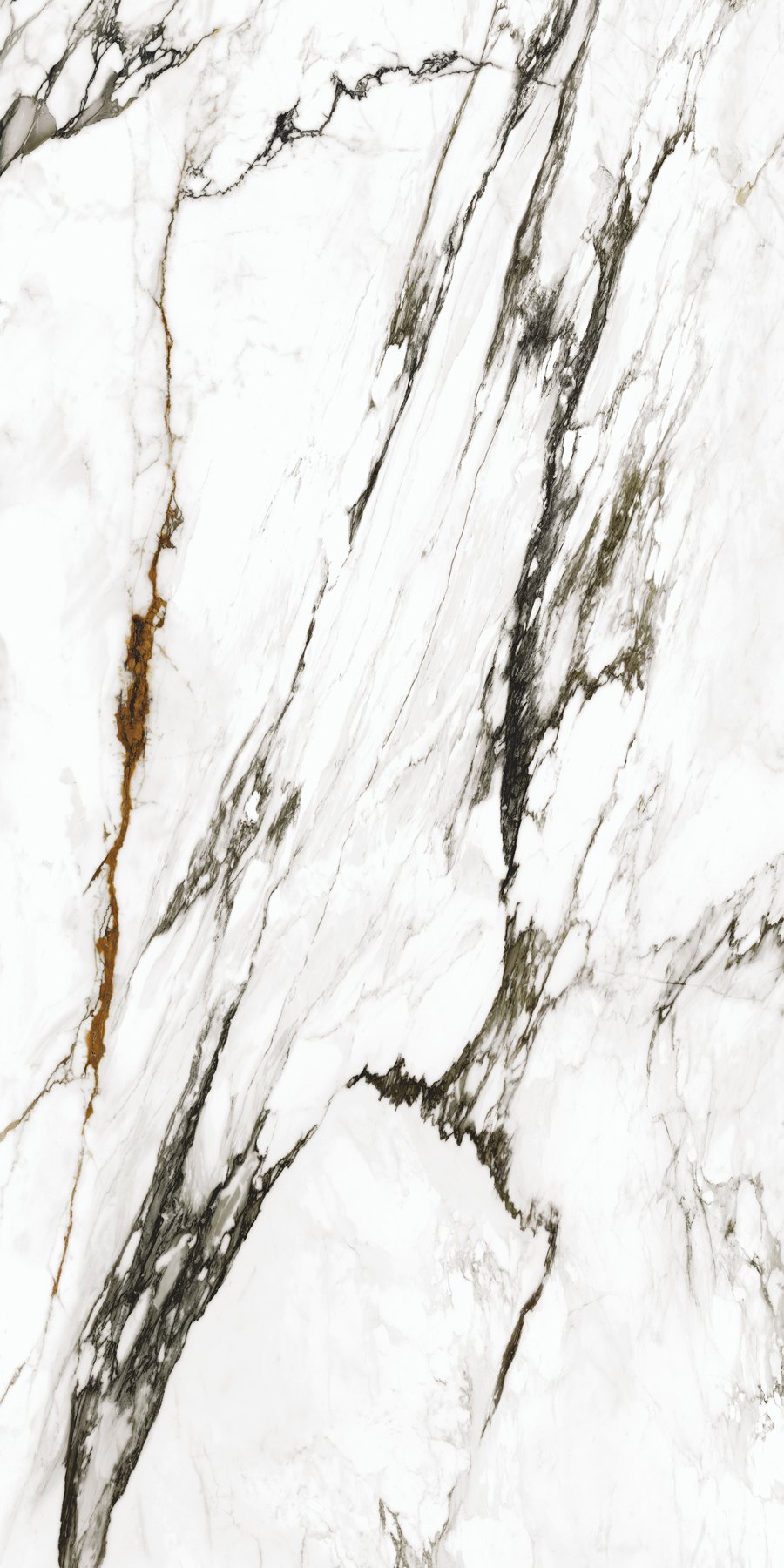 XTONE Paonazzo Biondo — PAONAZZO BIONDO POLISHED 6 160X320 01