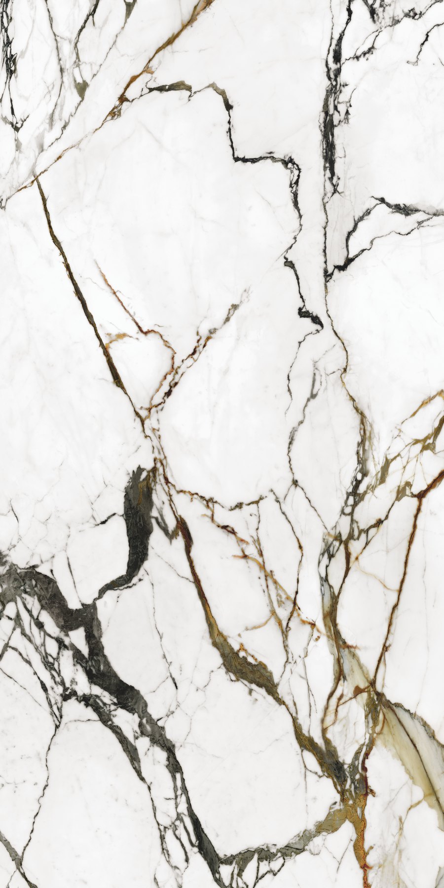 XTONE Paonazzo Biondo — PAONAZZO BIONDO POLISHED 6 160X320 03