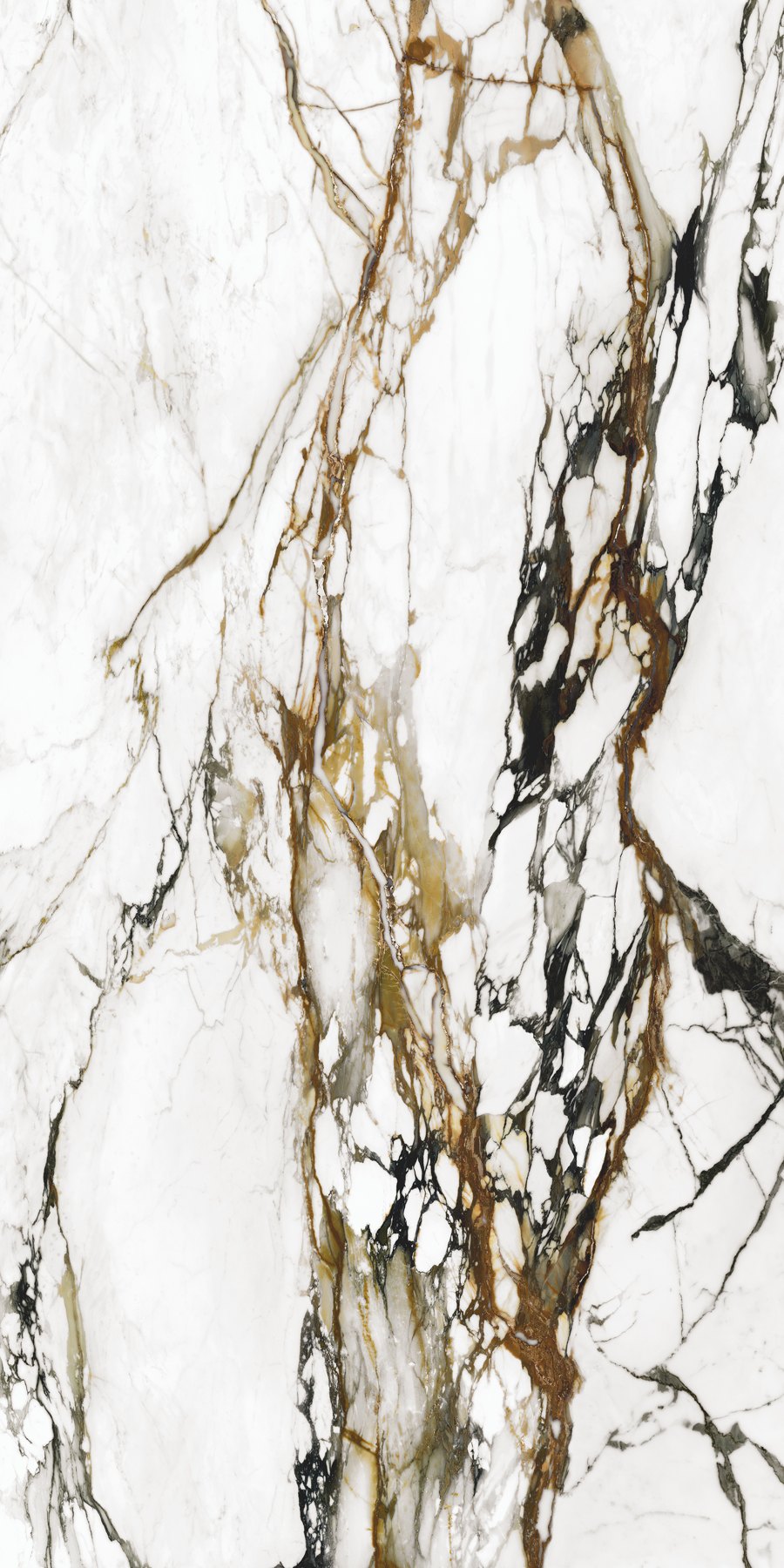 XTONE Paonazzo Biondo — PAONAZZO BIONDO POLISHED 6 160X320 02