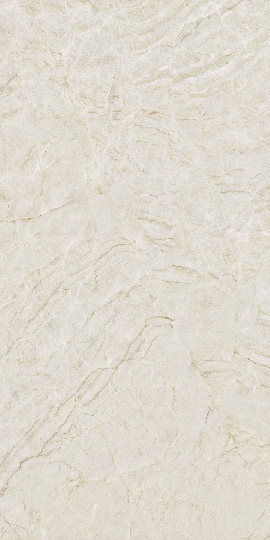 XTONE Taj Mahal — TAJ MAHAL POLISHED 6 160X320 02