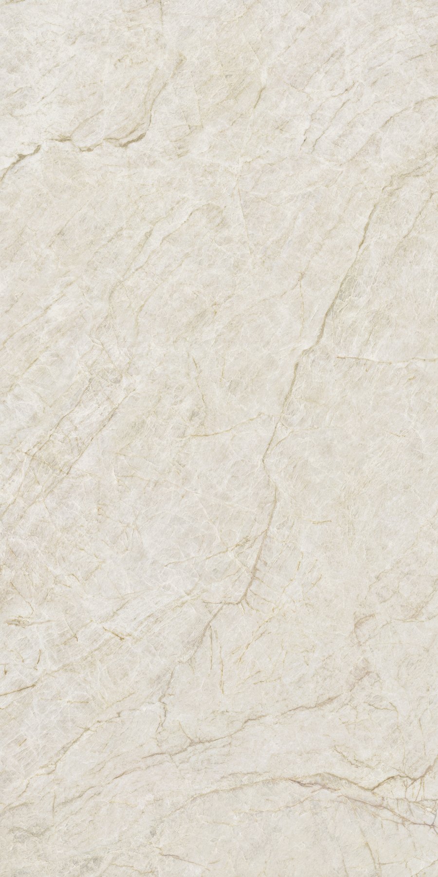 XTONE Taj Mahal — TAJ MAHAL POLISHED 6 160X320 01