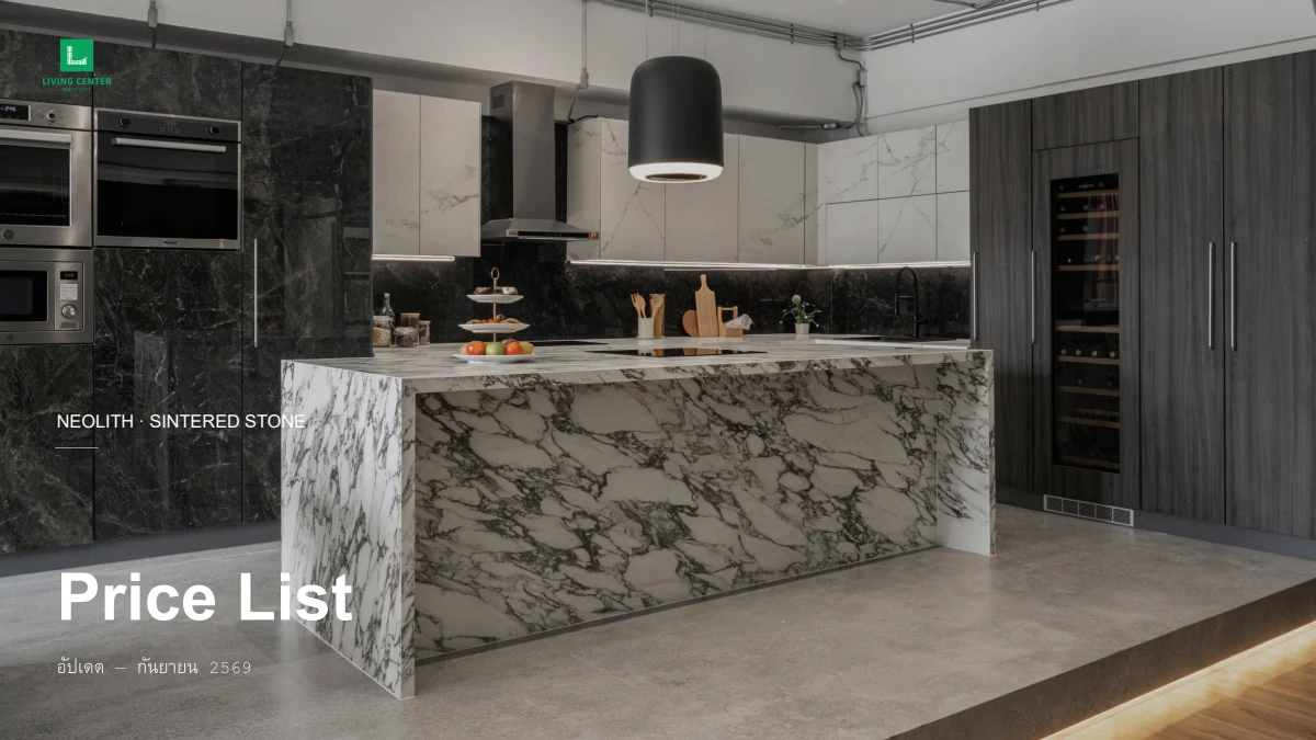 ปกเอกสาร Neolith